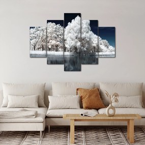 Obraz - Snehobiele stromy (150x105 cm)