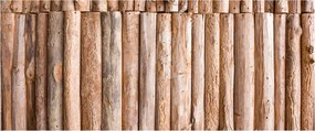 Obraz - Bambus (120x50 cm)