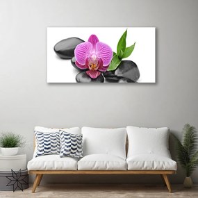 Obraz na plátne Kvet kamene umenie 140x70 cm