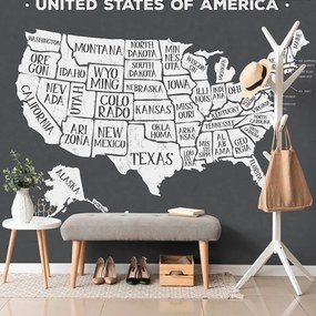 Tapeta náučná mapa USA v čiernobielom - 150x100