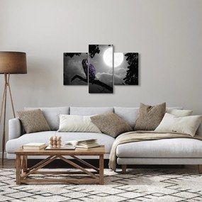 Obraz - Nočná sova, fialová sova (90x60 cm)