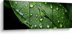 Obraz - List po daždi (s hodinami) (90x30 cm)