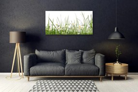 Obraz na skle Tráva sedmokrásky príroda 120x60 cm