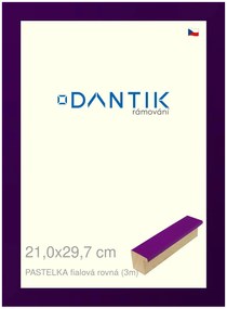 DANTIK rám na obraz 21x29,7 | PASTELKA fialová rovná (Sklo Čiré)