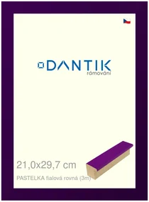 DANTIK rám na obraz 21x29,7 | PASTELKA fialová rovná (Sklo Čiré)