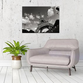 Obraz - Eiffelova veža v Paríži (70x50 cm)