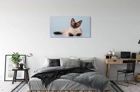 Obraz na plátne ležiace mačka 120x60 cm