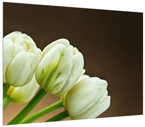 Obraz tulipánov (70x50 cm)