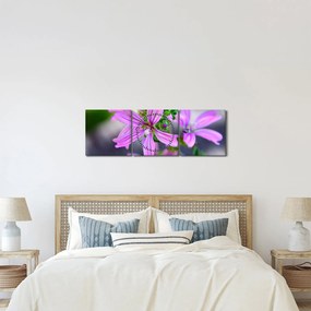 Detailný obraz kvetiny (s hodinami) (90x30 cm)