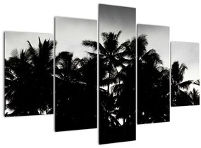 Obraz čiernobiely - palmy (150x105 cm)