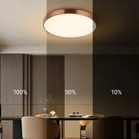 Immax NEO 07322L-LED Stmievateľné stropné svietidlo NEO LITE SEMPLICI 60W/230V priemer 60 cm medené + DO