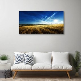 Obraz Canvas Pole obilie slnko krajina 140x70 cm