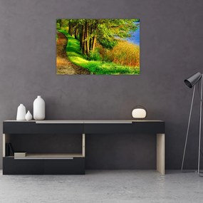 Obraz chodníky pozdĺž vody (90x60 cm)