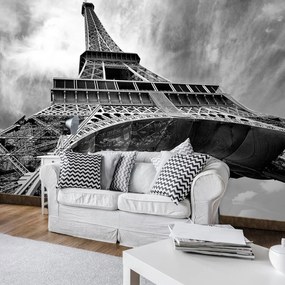 Fototapeta - Eiffelova veža Paríž (254x184 cm)