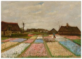 Obraz - Vincent van Gogh, Flower Beds in Holland, reprodukcia (70x50 cm)