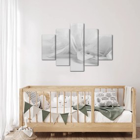 Obraz - Perie (150x105 cm)
