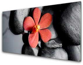 Obraz na skle Kvet kamene umenie 100x50 cm