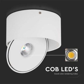 LED Bodové svietidlo LED/20W/230V 3000/4000/6400K biela