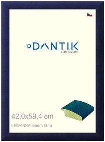 DANTIK rám na obraz 42x59,4 | LEDVINKA modrá (Plexi Čiré)