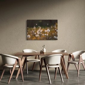 Obraz - Lúka s cottongrass N⁰2 (90x60 cm)