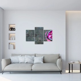 Obraz - Wellness (90x60 cm)