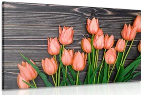 Obraz očarujúce oranžové tulipány na drevenom podklade