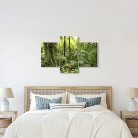 Obraz Tropický dažďový prales (90x60 cm)