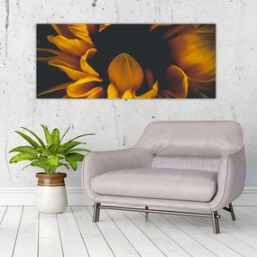 Obraz - Slnečnica v čiernom pozadí (120x50 cm)