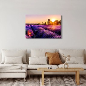 Obraz levanduľového poľa (90x60 cm)