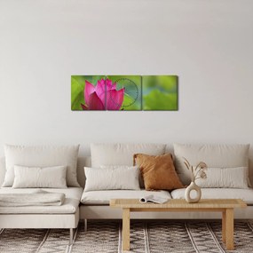 Obraz - vodná rastlina (s hodinami) (90x30 cm)