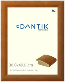 DANTIK rám na obraz 30x40 | LEDVINKA světle hnědá (Plexi Čiré)