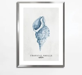 Maľba TROPICAL SHELLS I 50x70 cm