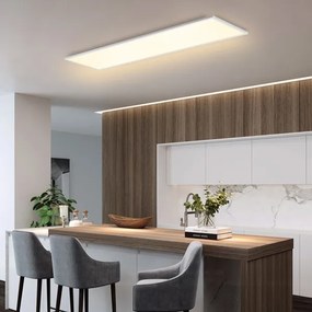 Brilagi - LED Stropné svietidlo SLIMFRAME LED/58W/230V 120x30 cm biela