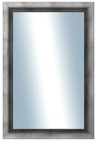 DANTIK - Zrkadlo v rámu, rozmer s rámom 40x60 cm z lišty Eternity AG ľadvinka (3097)