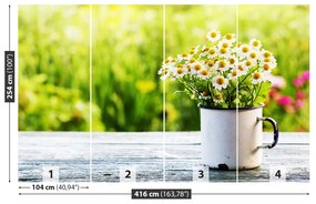 Fototapeta Vliesová Kvety sedmokrásky 250x104 cm