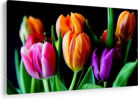 Obraz tulipánov na čiernom pozadí (90x60 cm)