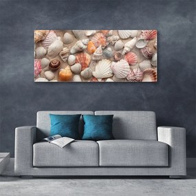 Obraz plexi Kôrovec piesok umenie 125x50 cm