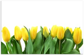Obraz na plátne - Žlté tulipány 103A (120x80 cm)