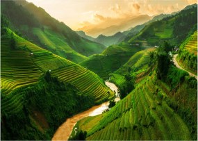 Sklenený obraz - Ryžové terasy Mu Cang Chai (70x50 cm)