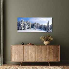 Obraz - Zima v lesoch (120x50 cm)