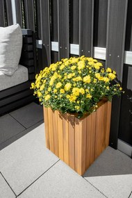 XXXLutz TRUHLÍK NA KVETY drevo, 30/30/35 cm Prestige Home - Kvety & kvetináče - 005379009501