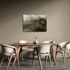 Obraz - Detailné fotografie starého slonieho oka (70x50 cm)