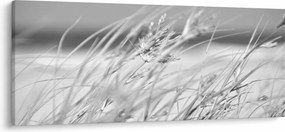 Obraz - Plážová tráva (120x50 cm)