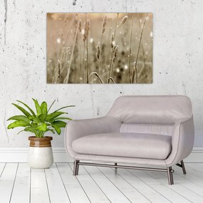 Obraz - Harmonická lúka (90x60 cm)