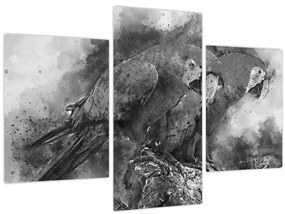 Obraz - Akvareloví papagáje (90x60 cm)