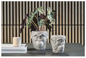 Cementový kvetináč Villa Collection Calbe, výška 22,5 cm