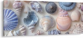 Obraz - Zbierka mušlí (120x50 cm)
