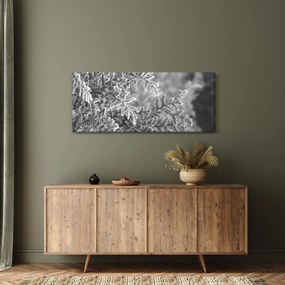 Obraz - Smrekový les (120x50 cm)
