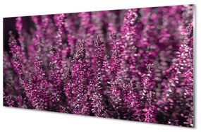 Sklenený obraz poľné vresy 125x50 cm