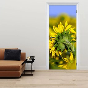 Fototapeta na dvere - Slnečnica (95x205cm)